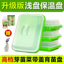 New sprout vegetable nursery plate Dense grid shallow dish with cover planting plate Hydroponic sprout vegetable plate soilless cultivation nursery pot