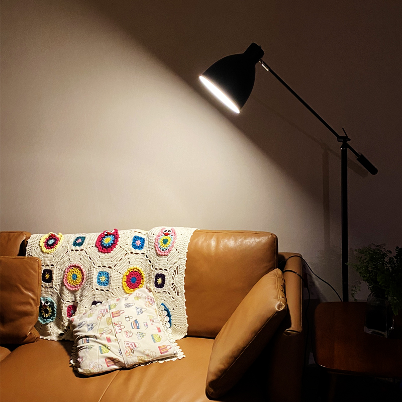 Nordic net red floor lamp vertical sofa bedroom study high-end light luxury bedside living room simple floor lamp