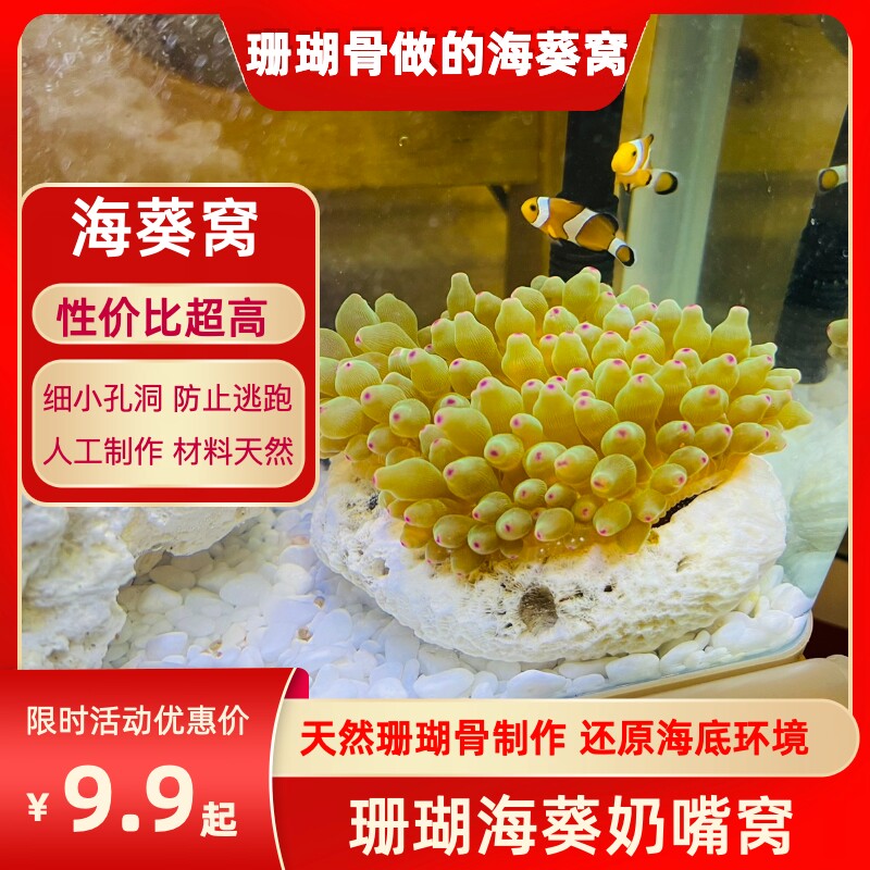 Aquarium pure natural coral seawater tank for viewing, red and green pacifier carpet, sea anemone nest for escape, clownfish to hide