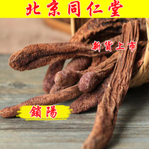 Tongrentang Cynomorium strips Cynomorium slices soaked in wine 500 grams of premium golden Cynomorium should be served with leek seeds