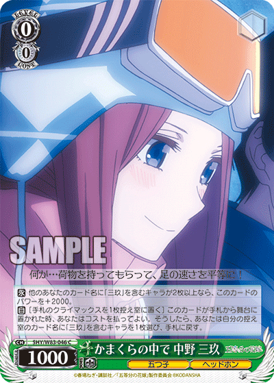 WS quinquot equalie 5HY W83-046 The Chrysanthemum Flowers of the Chrysanthemum Flowers of the Chrysanthemum Flowers of the Chrysanthemum Flowers (C)