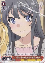 Something Happened in a Dream Sakurashima Mai C Black and White Wings Youthful Pig Head SBY W77-066