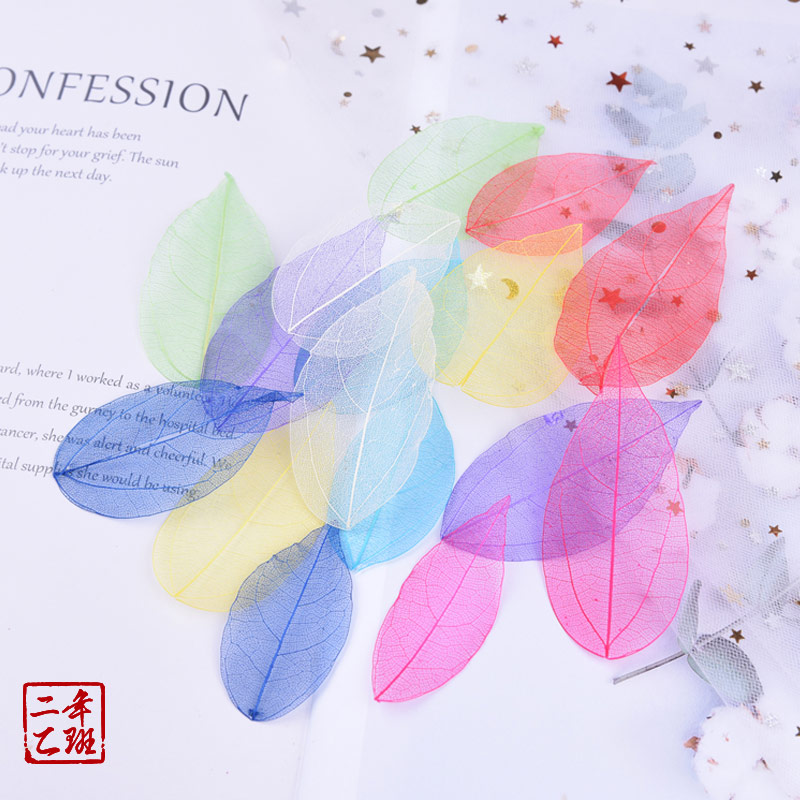 Leaf Vein Bookmark Colored Leaves Dry Flowers Diy Material Packs Multicolored Natural Real Specimens Make Custom Creative Gifts