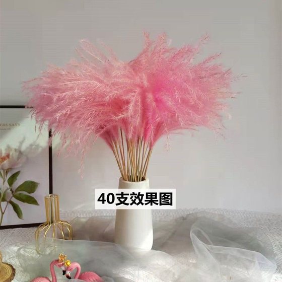 Natural reed dried flower bouquet Internet celebrity real flower living room decoration wedding props pink reed dried flower floor decoration