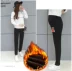 Mùa thu và mùa đông cộng với nhung dày cho bà bầu quần legging cotton giản dị quần lỏng bụng nâng quần cotton quần ấm quần shop quần áo bầu Phụ nữ mang thai quần / quần bụng