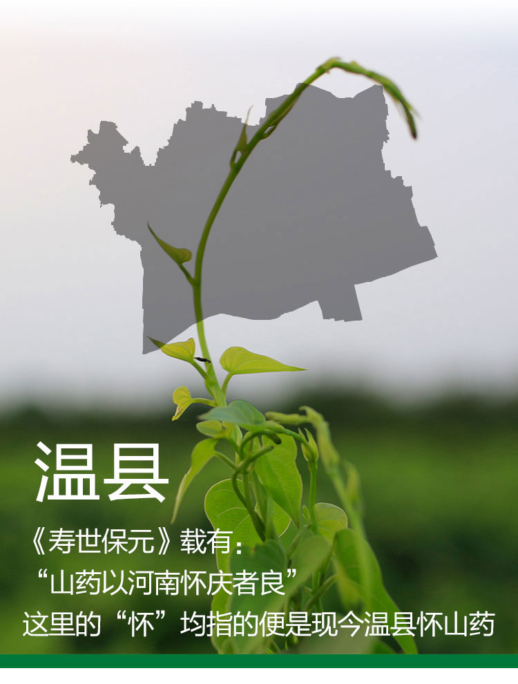 Fresh Wenxian Iron Stick Chinese Yam Gift Box Huai Shan Yao 2250g key features