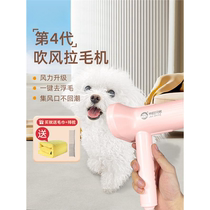 2024 New Products Imported Dog Hair Dryer Pet Blow Hair God-Dryer Lafur All-in-one Drying Lamater