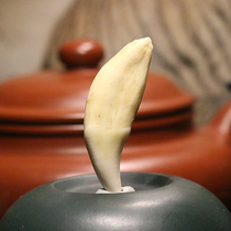 Ziyunhui Xuzhou boutique dog tooth pendant No. 3