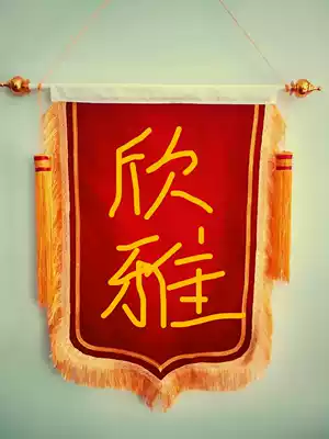 60 New x90 cotton blank velvet high-grade pennant wholesale