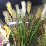 Симуляция тростника собака