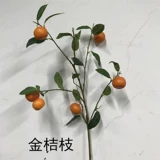 Моделирование ветвей Kumquat с ветвями и листьями, чтобы украсить листья лимона, листья и листья, оранжевые ветви оранжевых ветвей