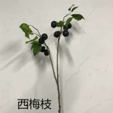 Моделирование ветвей Kumquat с ветвями и листьями, чтобы украсить листья лимона, листья и листья, оранжевые ветви оранжевых ветвей