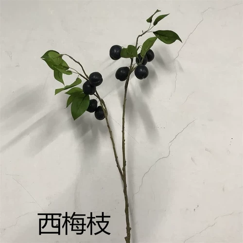 Моделирование ветвей Kumquat с ветвями и листьями, чтобы украсить листья лимона, листья и листья, оранжевые ветви оранжевых ветвей