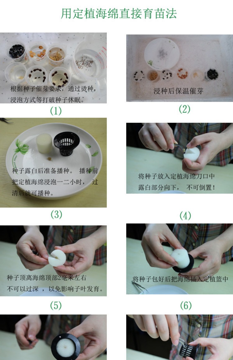 Người mua may mắn, rau thủy canh, làm vườn, nuôi cấy mô, cây giống, bọt biển trồng tròn, đường kính 6, 60mm, 100 bộ dụng cụ làm vườn