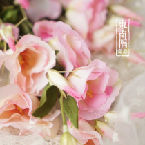 Southeast Corner Emulation Flower Platycodon Flowers Multicolored Long Branches Dry with leaves Fake Flowers Home Living Room Storefront Decoration Flowers