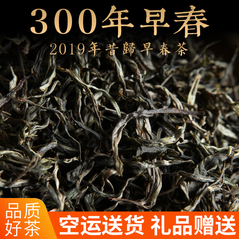 2019 early spring 2019 Early spring tea Yunnan Pu'er tea raw tea loose tea ancient tree tea shake for 300 years ancient tree head spring