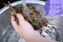 Fuzhou Fujian local herbal tea dried Houttuynia cordata soaked in water and drank half a pound in summer