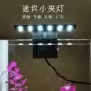 New fish tank aquarium lamp Fish lamp Aquatic plant breeding lamp 5W aquatic plant lighting High-brightness LED energy-saving lamp