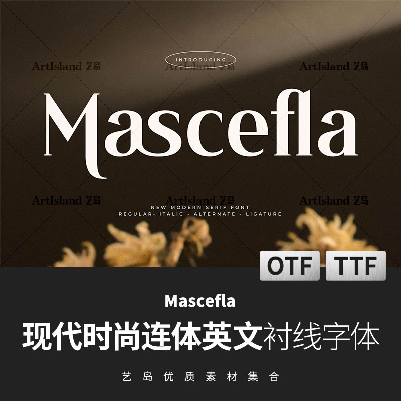 The Latest English Fonts, Beautiful and Stylish Modern Themed Logos, Clothing Image Designers, Serif Fonts