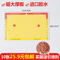 10 sticky mouse boards super powerful large mouse stickers rat repellent rat killer mouse cage household rat catching tools send attractant