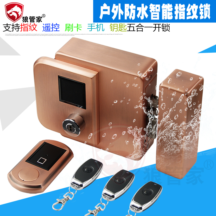 Wolf butler outdoor waterproof access control lock fingerprint lock Outdoor access control card reader remote control lock Villa wrought iron electronic electronic control lock
