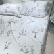Мелкая прогулка