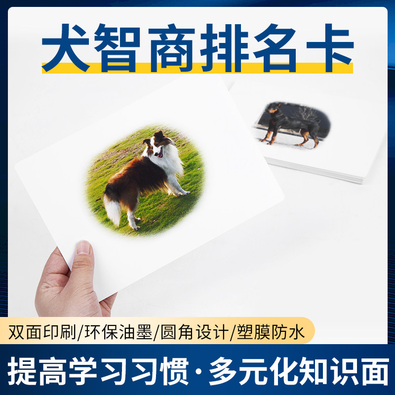 Famous dog card exploits the most by the baby's welcome dog IQ ranking Duman Right Brain Potential Development