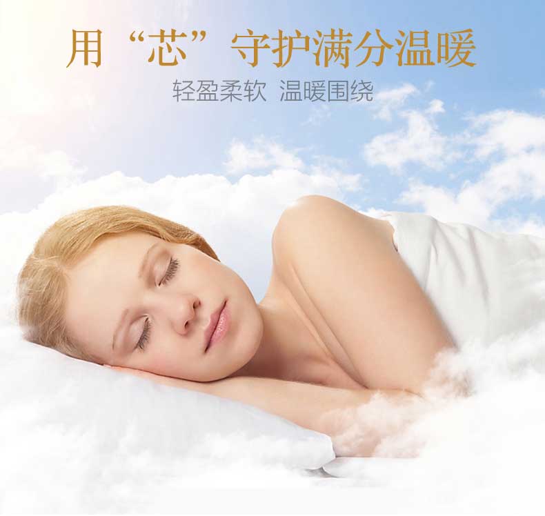 White down QUILT, winter quilt CORE, high-end five-star HOTEL bedding linen, 80-day standard, thickened, warm, high down content, light and warm HOTEL QUILT CORE pic 3