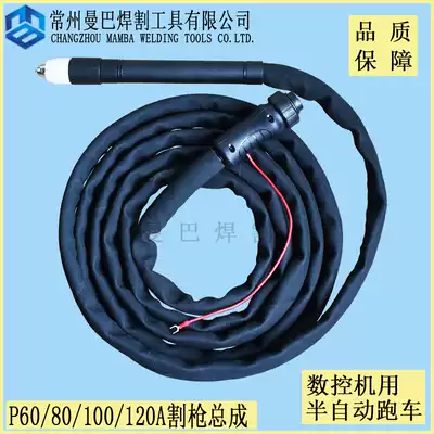 P80A100A machine cutting gun assembly Huayuan Ruiling CNC plasma straight handle cutting gun cutting head