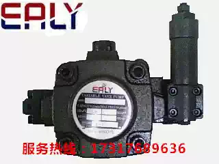 Yili EALY vane pump VDC-1A-F40D F40C-20VDC-1A-F40B F40A-20