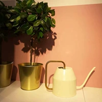 IKEA покупка Asonatcas посыпать горшок, длинный рот, водяной горшок, садоводство зеленое растение цветочное клей для клея