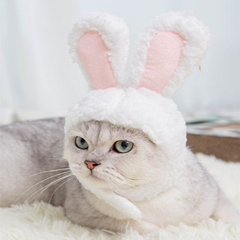 Pet Hats Cat Cute cute Pooch Dog Headgear Small Dog Cat Dog Rabbit Ears Head Accessories Christmas Photo Props