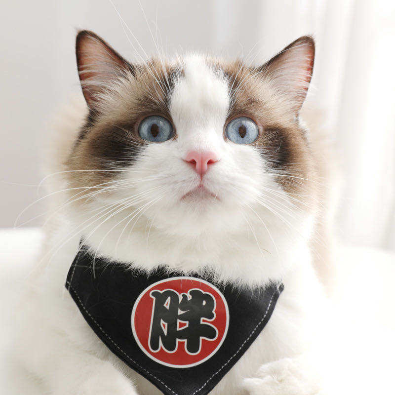 Pet Saliva Towel Dog Cat Scarf Shiba Inu Golden Retriever Bib Large Dog Bib Small Dog Special Bib