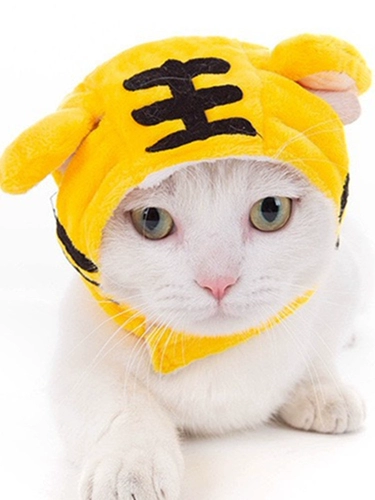 Pet Rabbit Year Cat Cat милый трансформирующий собака капюшона маленькая собака, кошачья собака кроличьи уши головные уши