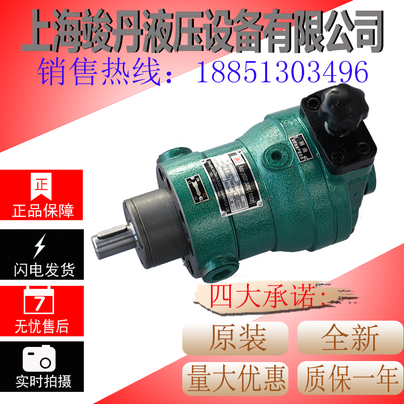 Plant pin 40SCY14-1B 63SCY14-1B 63SCY14-1B 100SCY14-1B 100SCY14-1B axial plunger pump