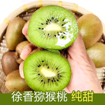 (ten billion subsidized) Shaanxi eyebrow county Xu Xiangkiu Monkey Peach Fresh Fruit Big Fruit with 5 catties