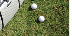 Sac de golf - Ref 37941 Image 50
