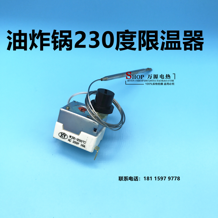 Fryer fryer for electric fryer 230 degrees 250V 16A