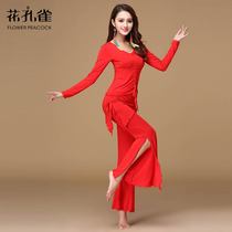 Belly dance clothing trousers suit suit New modal clothing beginner belly dance clothes thin autumn