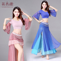 Belly dance costume women 2021 new suit Indian dance costume sexy dress beginner dance dress