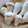 Товары от 滇峰菌业野生菌批发