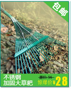 Chọn dụng cụ làm vườn arbutus, hái trái cây cao độ, làm vườn, làm vườn, hái, hái thủ công, hái trái cây, trái cây