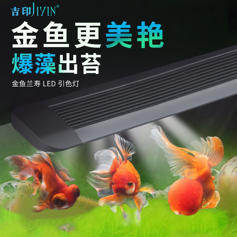 Giprint fish tank goldfish Lanshou special fish tank lamp full spectrum burst algae sunburn Tled ultra-thin lighting waterproof lamp