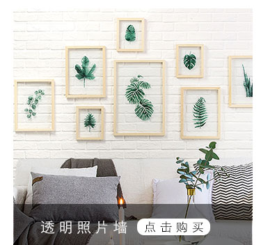 北欧双面玻璃树叶相框摆台透明植物干花叶子标本框透明实木框摆件 虎窝淘 北欧双面玻璃树叶相框摆台透明植物干花叶子标本框透明实木框摆件 虎窝淘
