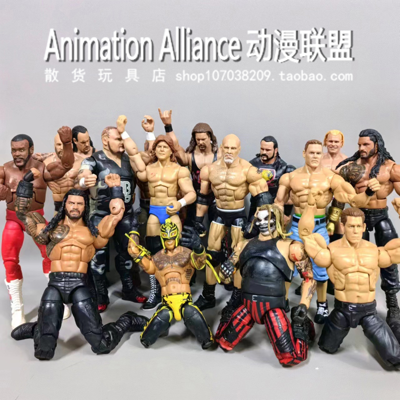 Authentic Loose Goods: Ring Wrestling Wrestler Action Figure, Collectible Figurine, Floyd Senna Hardy Model