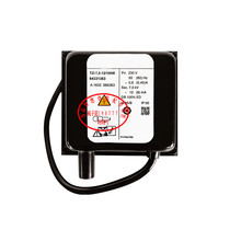 Combustion ignition transformer TZI7 5-12 100WTZI7 5-15 33W 7 5-20 33TZI5-15