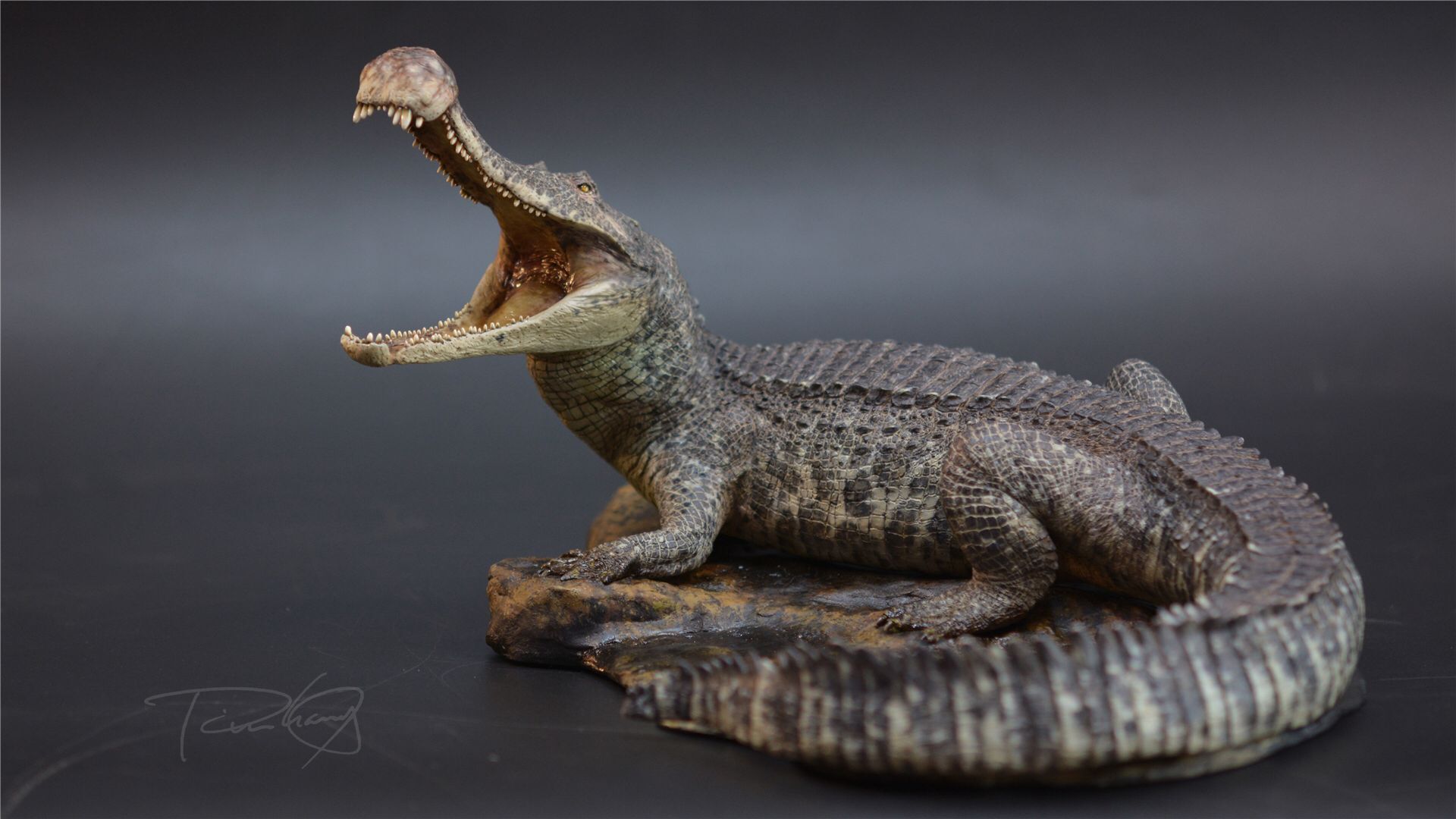 Crocodile (White Mold) 1:20 (out of stock)