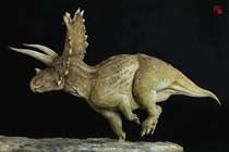 Titan Triceratops standalone version sold out only for display (white model)