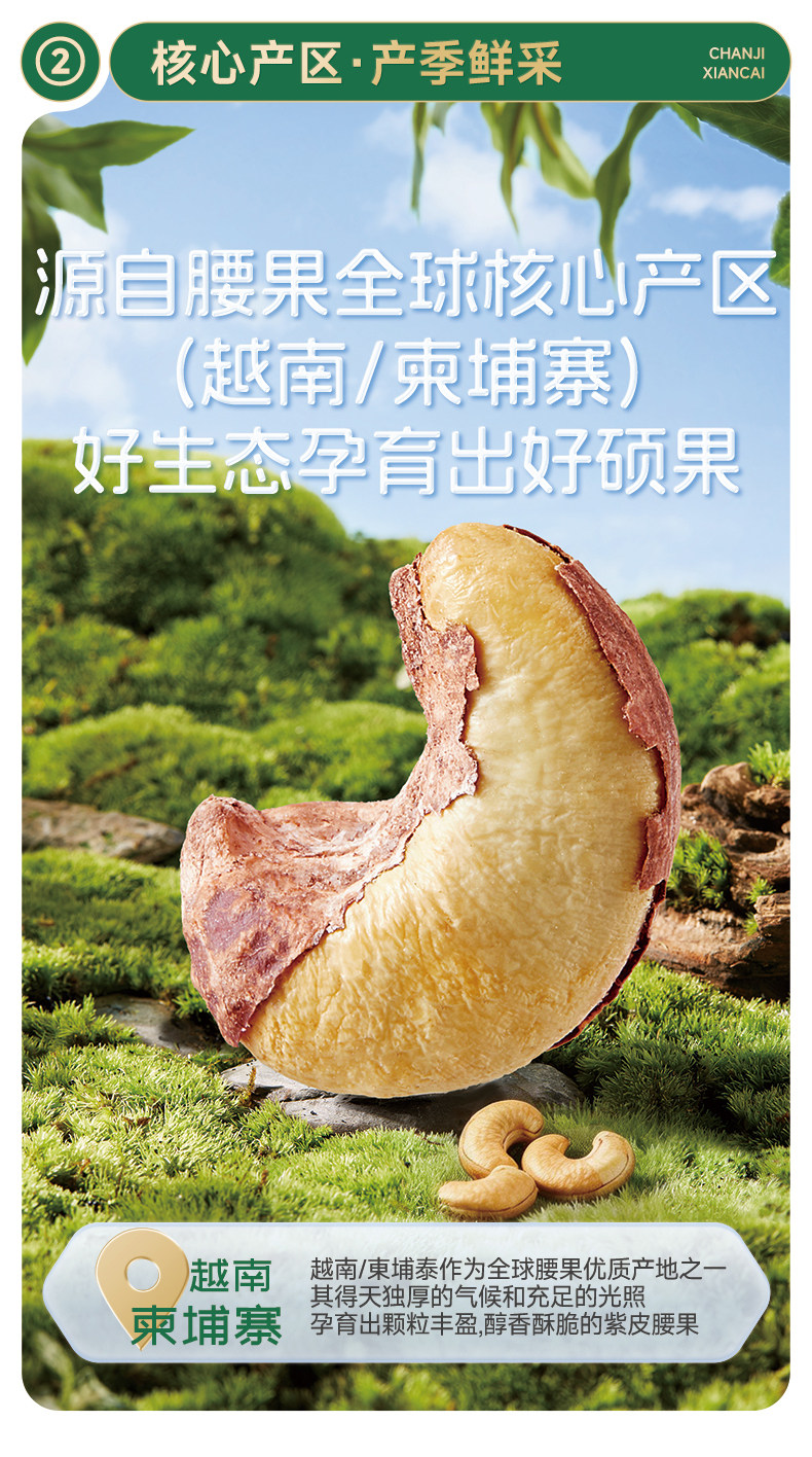 O1CN01nF0gqr1j7yEFTcjca_!!880734502.jpg