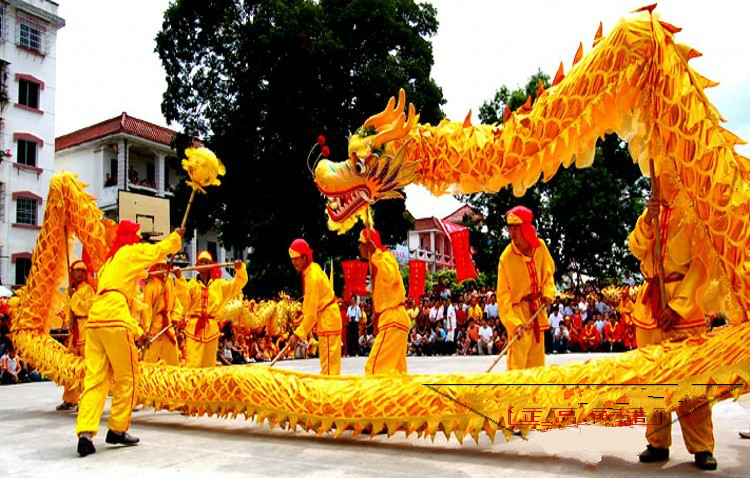 Dragon dance, dragon dance, lion dance, props, national standard dragon, high-end Oxford hot golden dragon and lion performance
